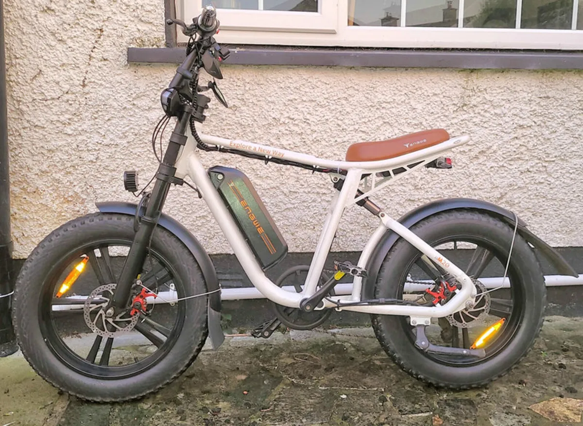 Electric Bicycle 750W - Image 2