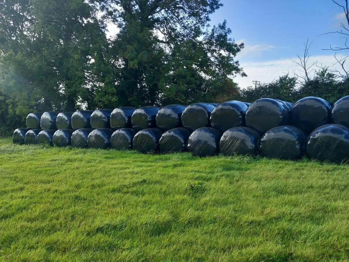 Silage bales - Image 2