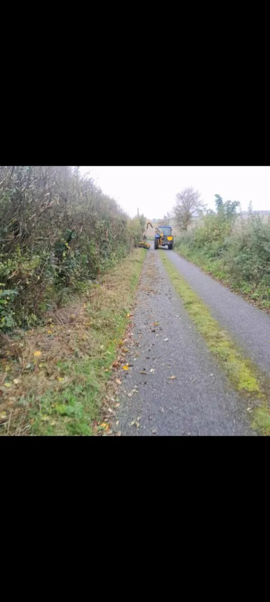 Hedgecutting Services - Image 3