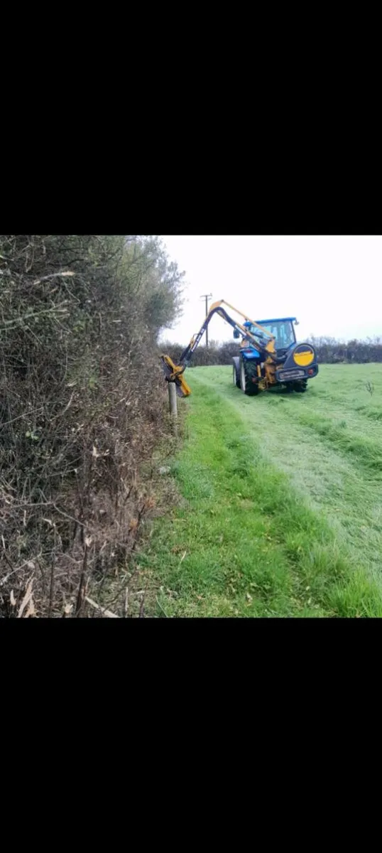 Hedgecutting Services - Image 4