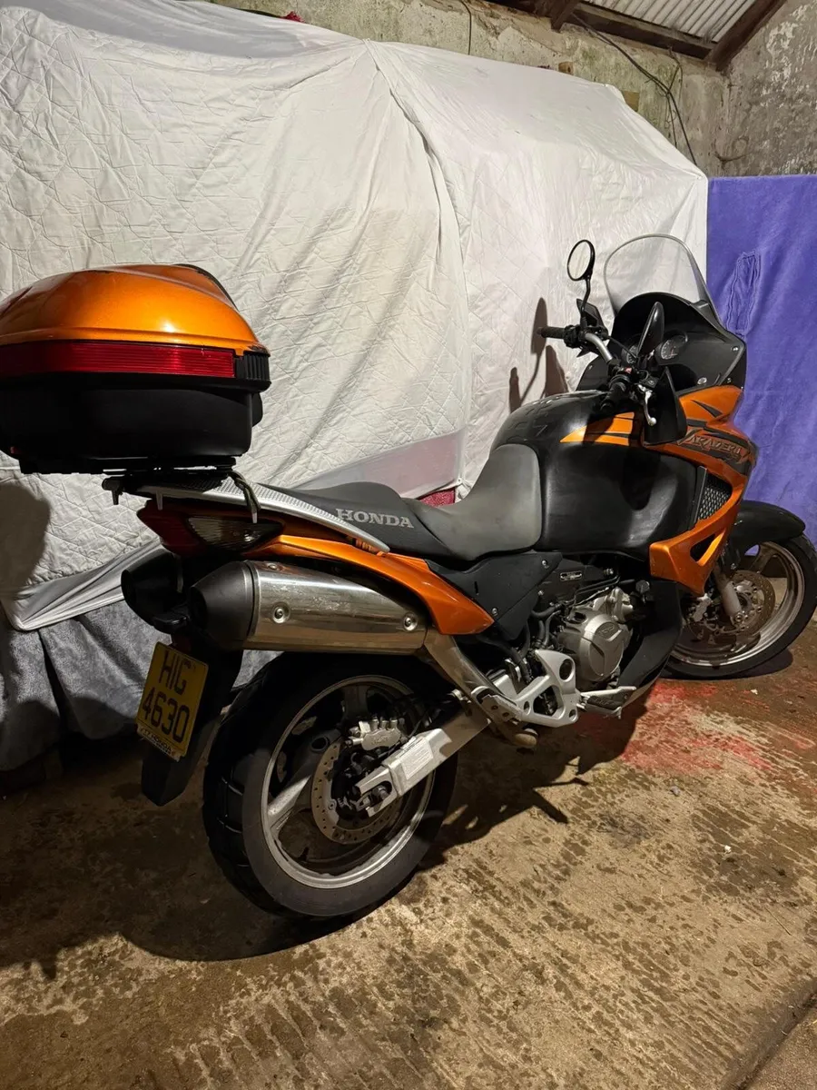 Honda XL 2009 - Image 2