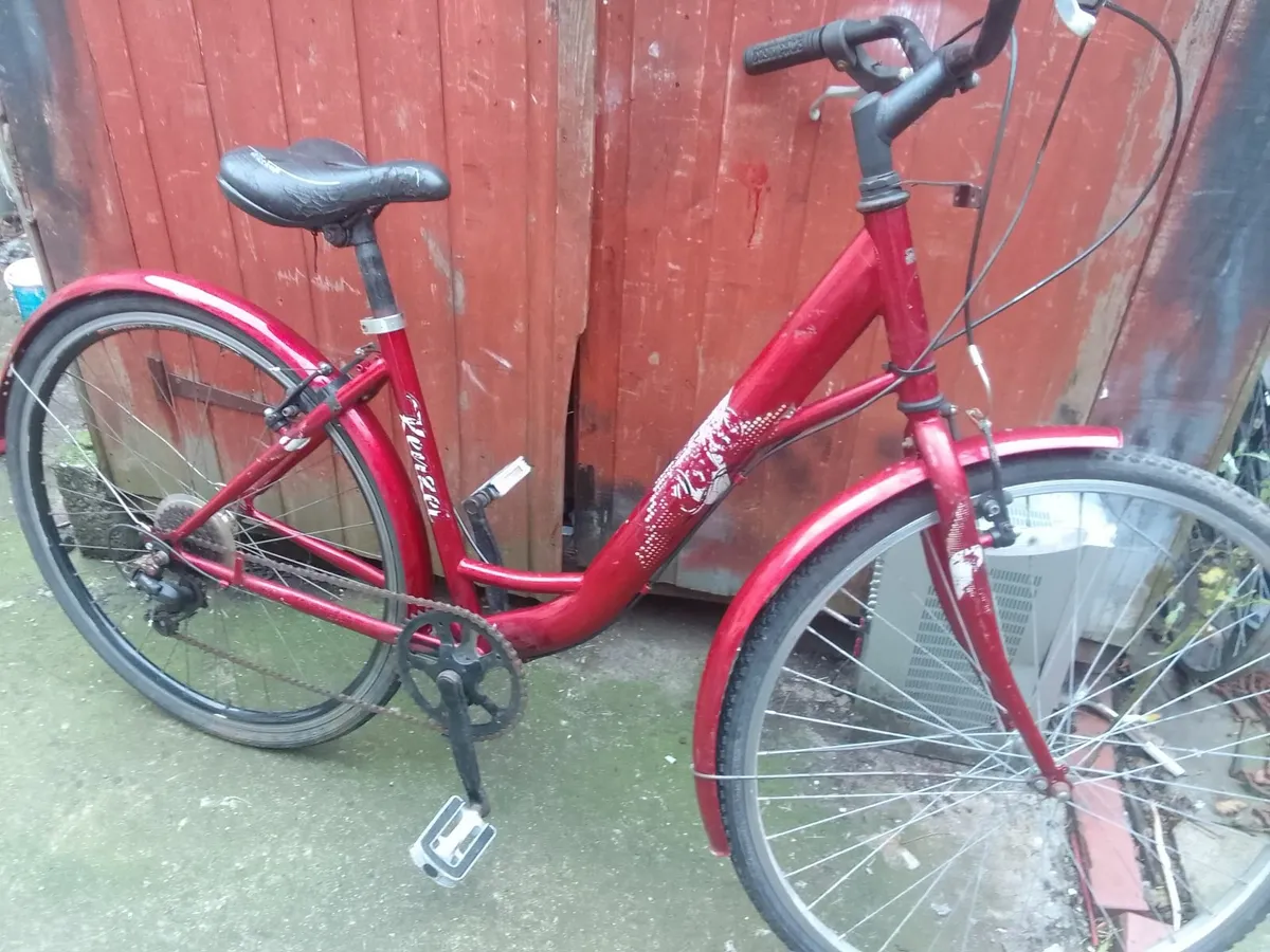lady bike for sale fully working