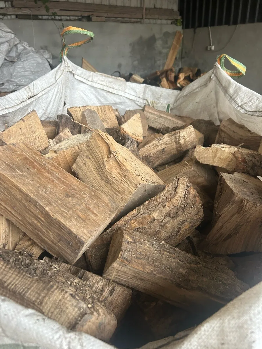 Fire wood - Image 4