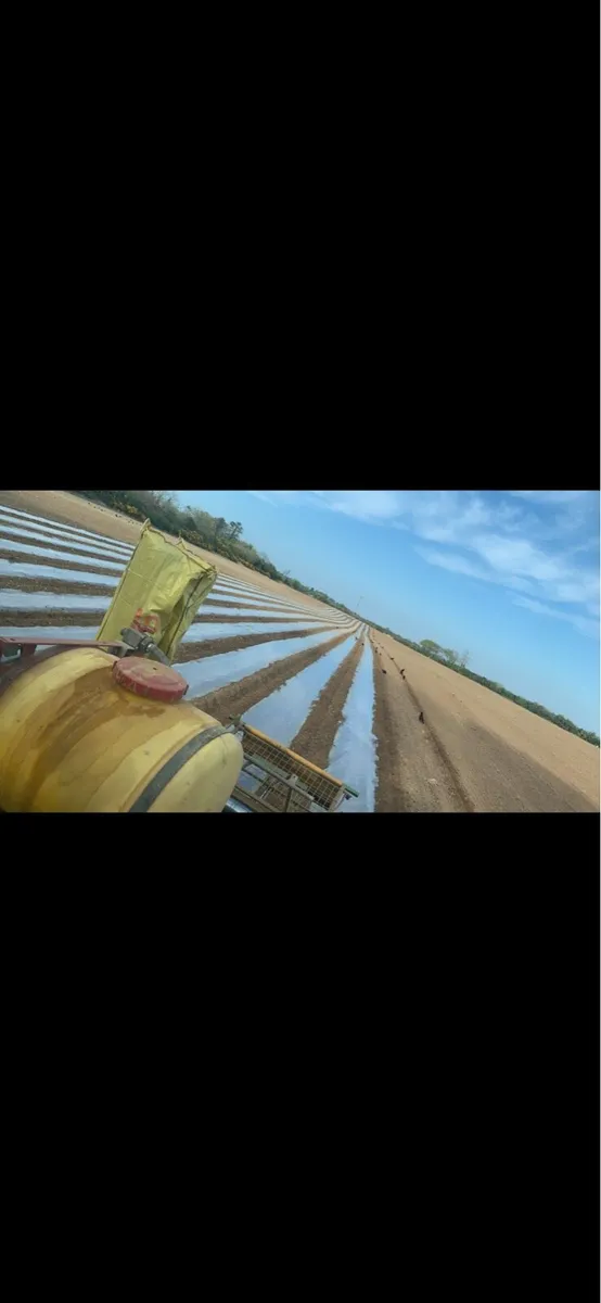 Samco maize drill - Image 2