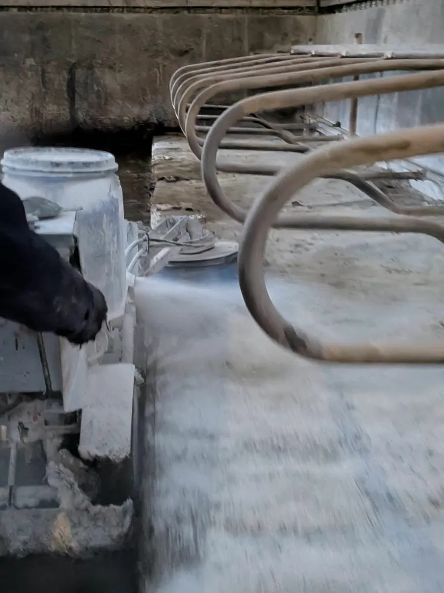 Daisy Bed Cubicle Cleaner and Lime Spreader - Image 3