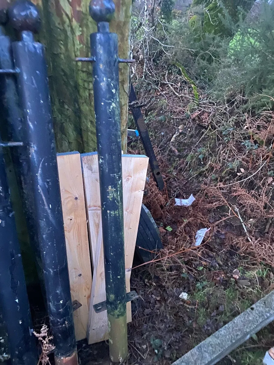 Iron decretive fence and fence poles - Image 4