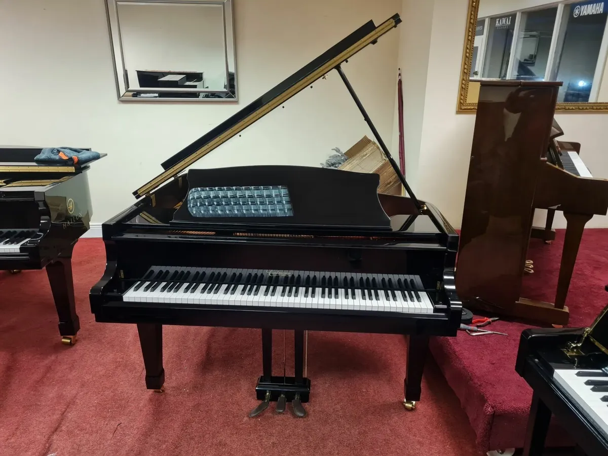 Baby Grand Piano - Image 1