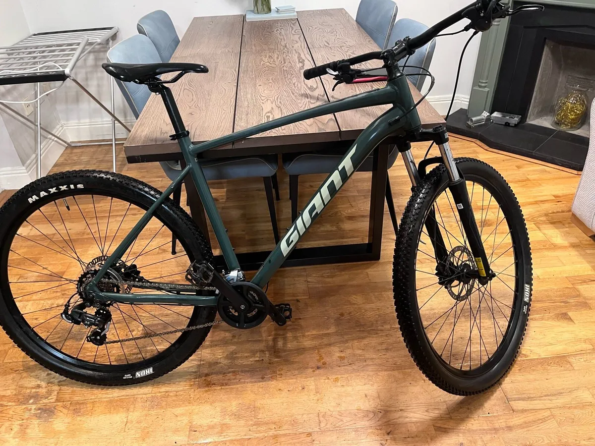 Mountain Bike - Image 1