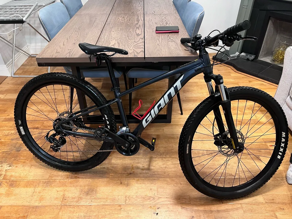 Mountain Bike - Image 1