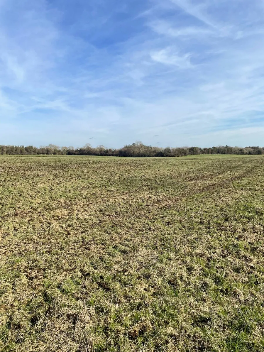 Looking for land rent