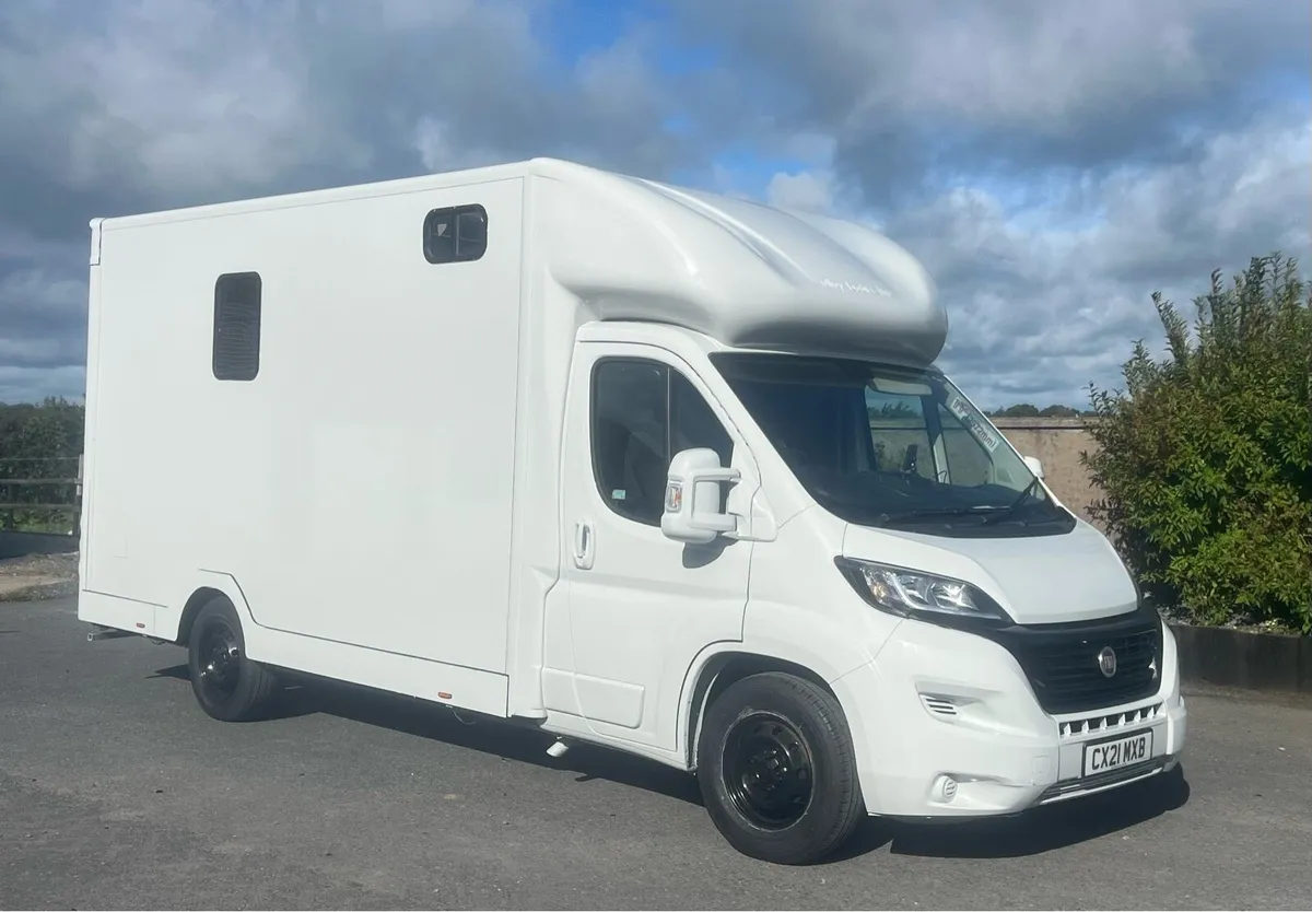 3.5 tonne Horsebox - Image 2