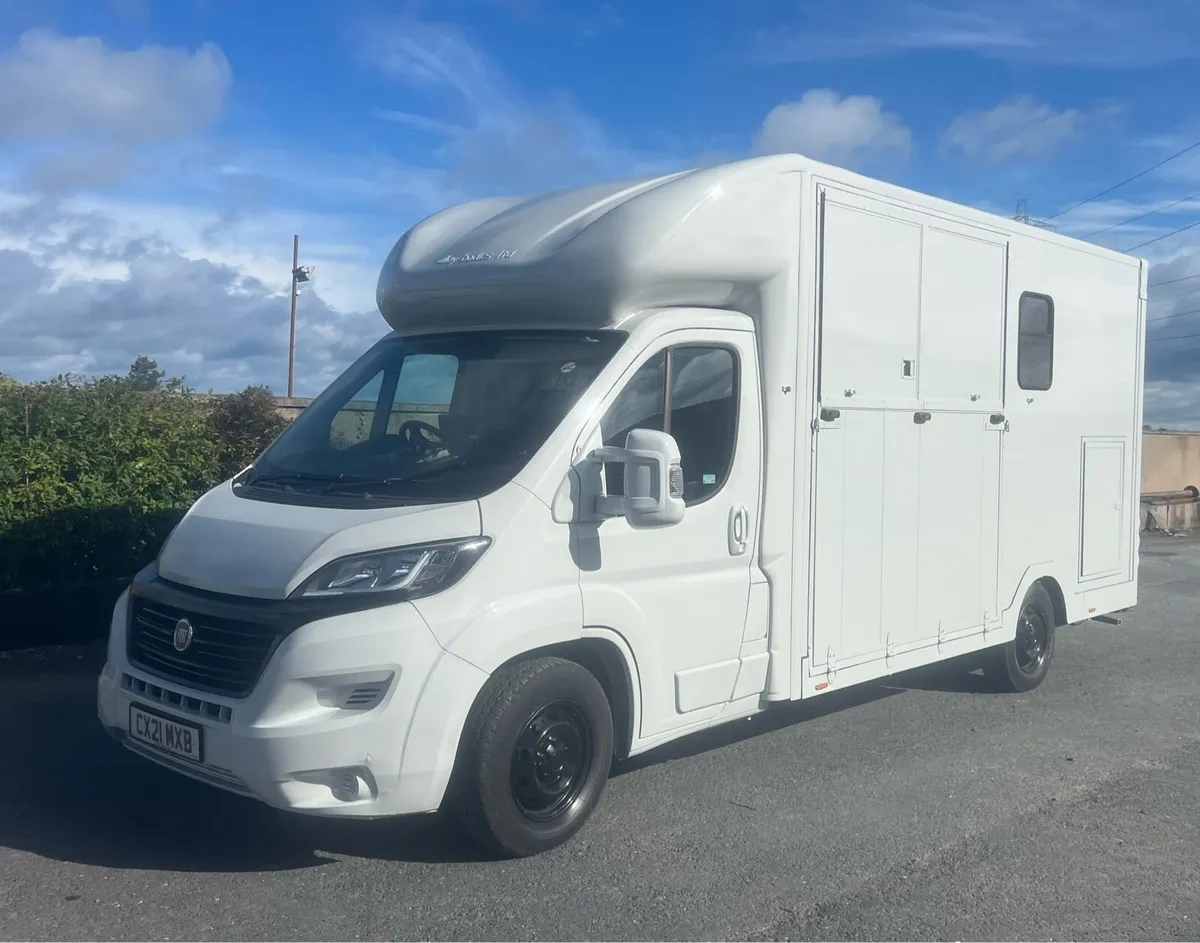 3.5 tonne Horsebox - Image 3