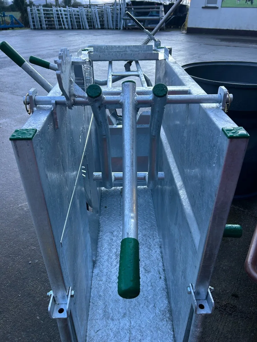 Condon Delux Dehorning crate - Image 4