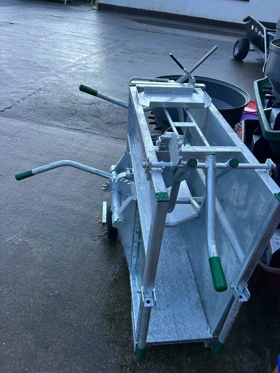 Condon Delux Dehorning crate - Image 3