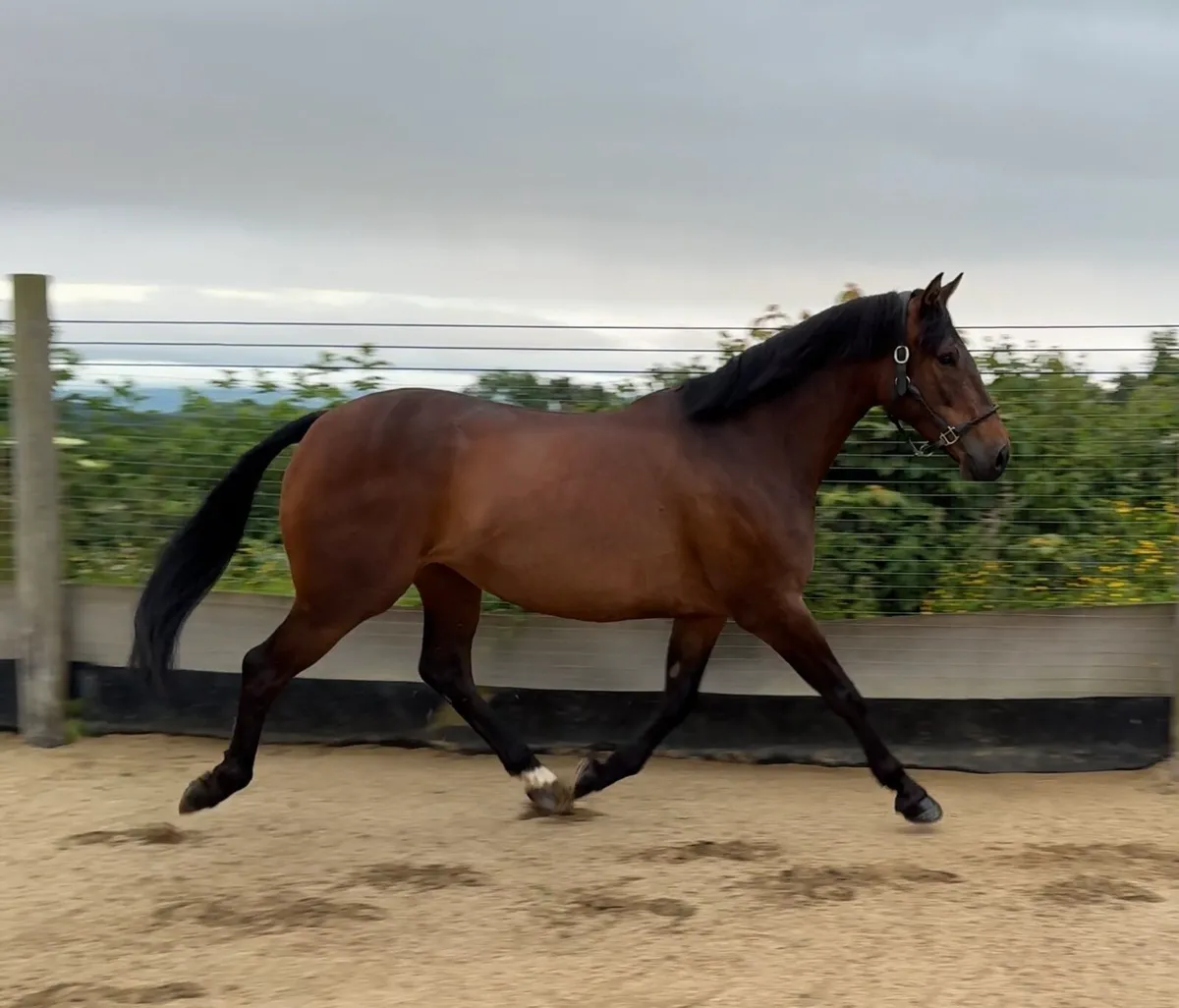 Breaking and pre-training - Image 1