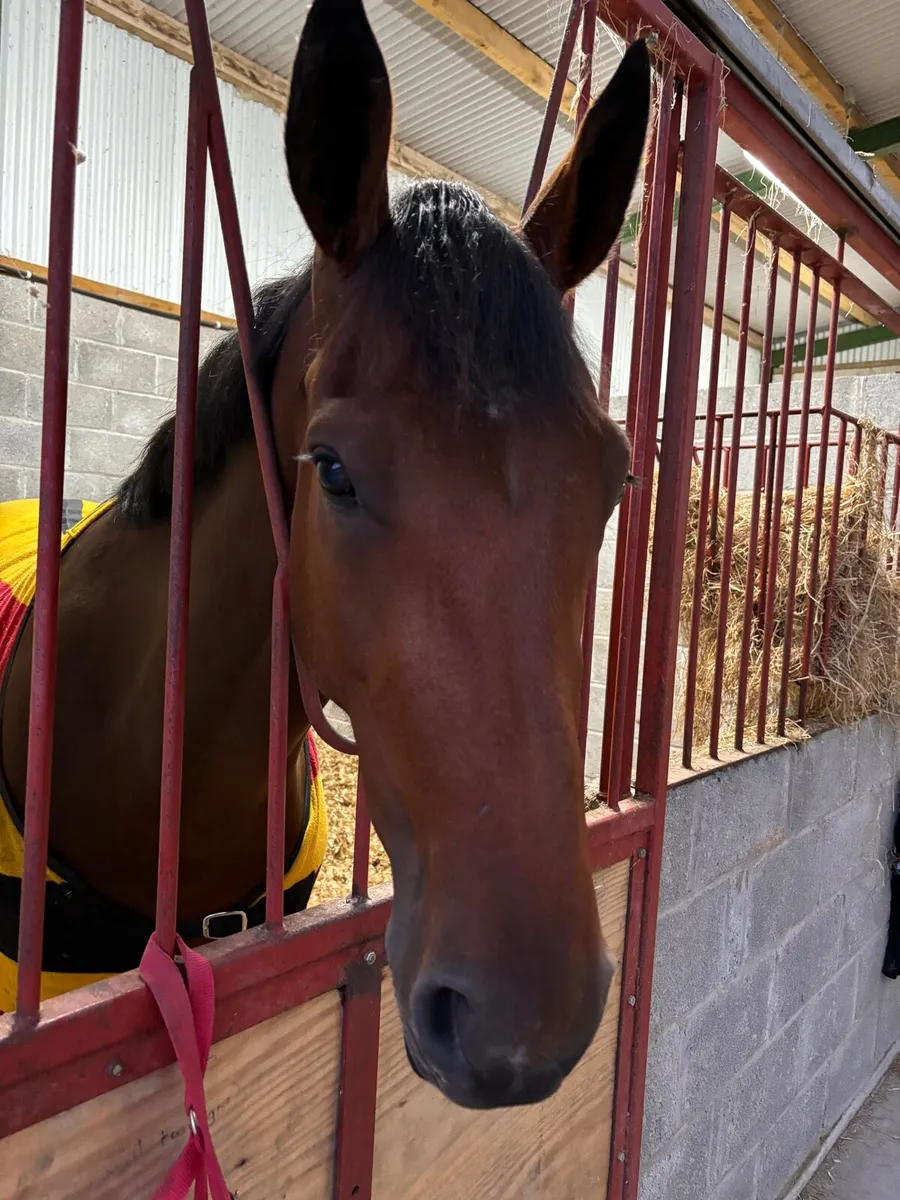 Breaking and pre-training - Image 3