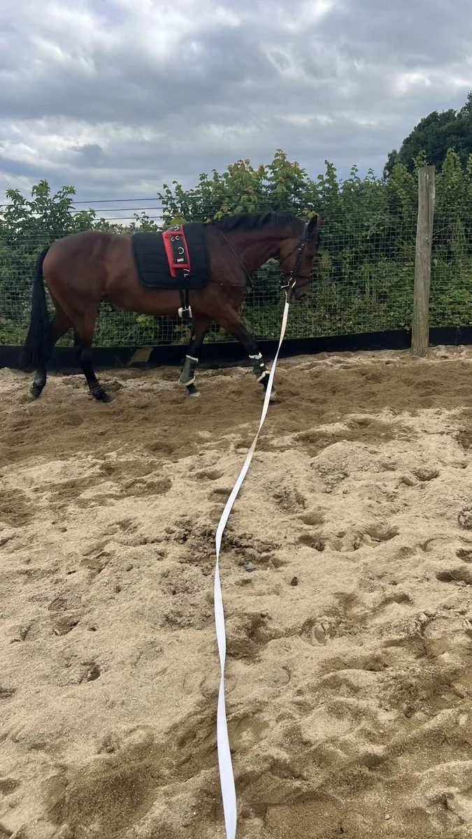 Breaking and pre-training - Image 4