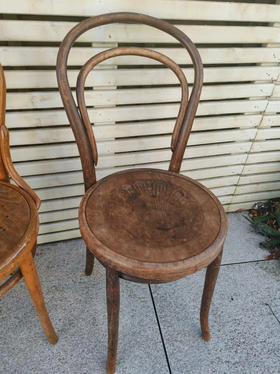 Vintage Bentwood Chair - Image 2
