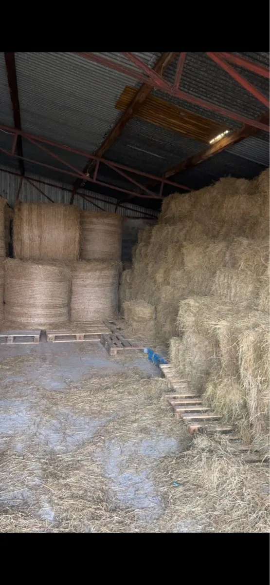 Hay and silage bales - Image 1