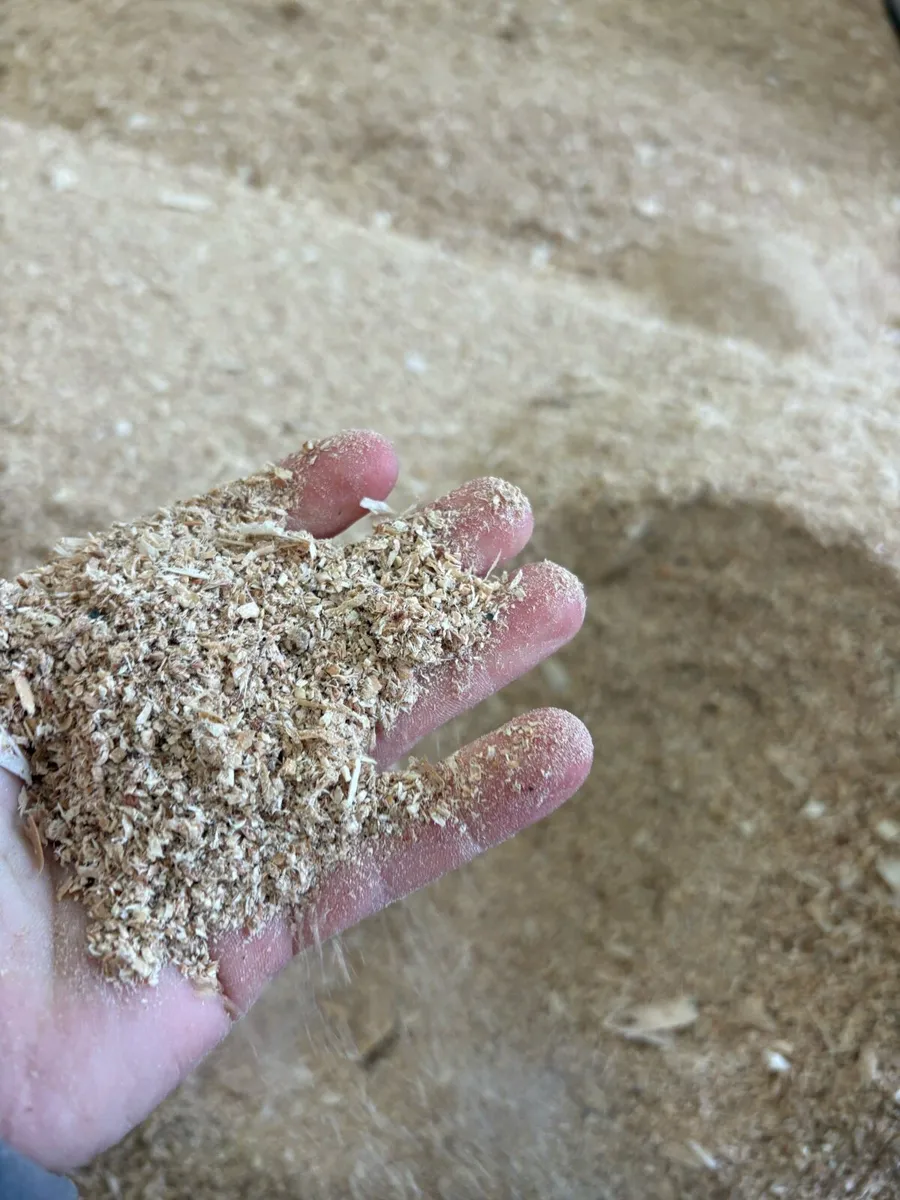 Dry White Sawdust in Bulk Jumbo Bags Delivered - Image 2
