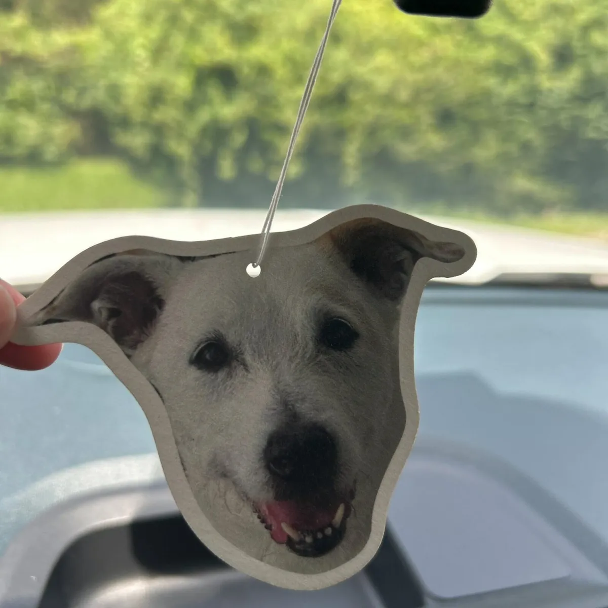 🚗 Custom Photo Car Air Fresheners - Image 3