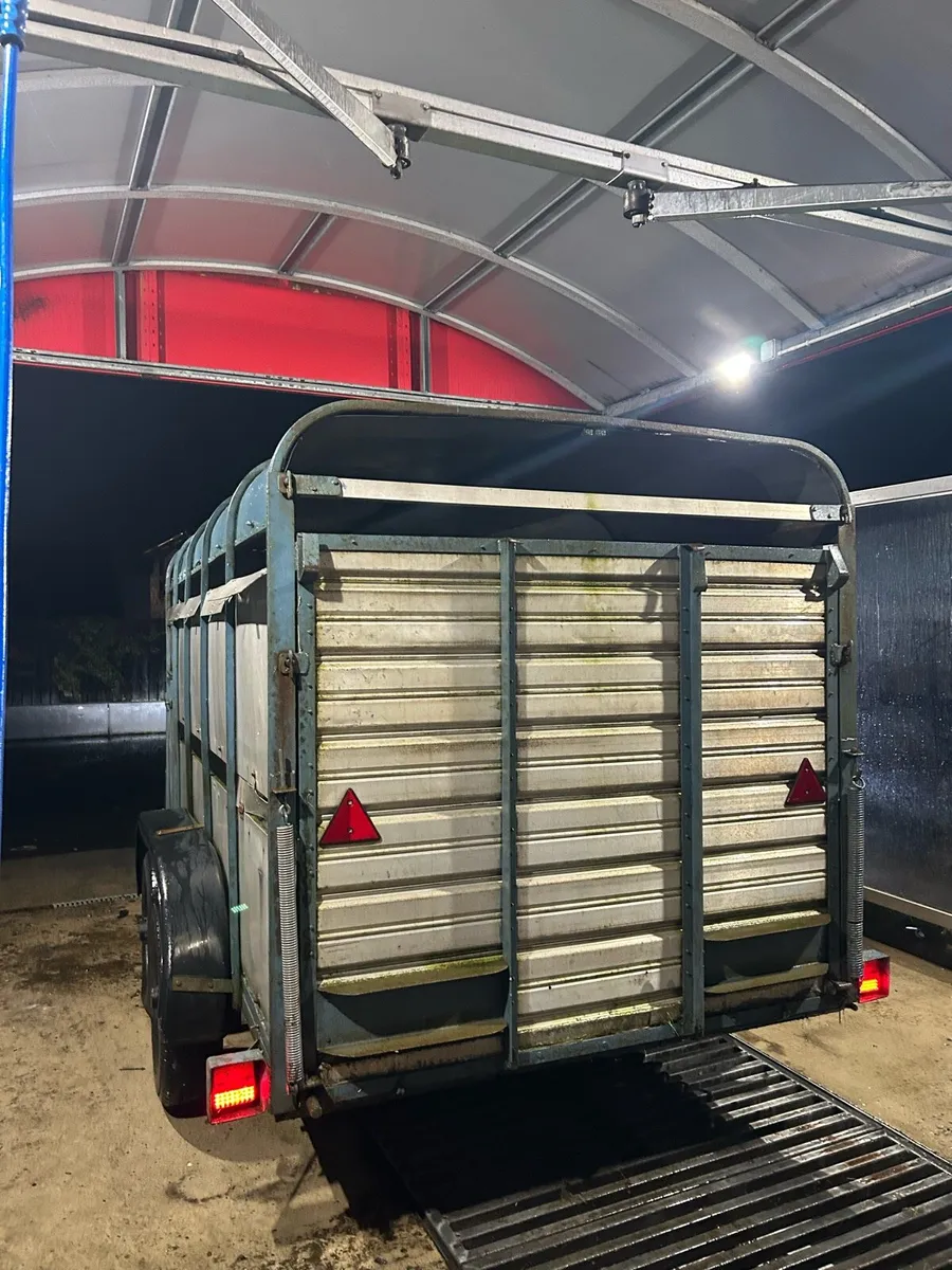 Ifor Williams cattle trailer - Image 3