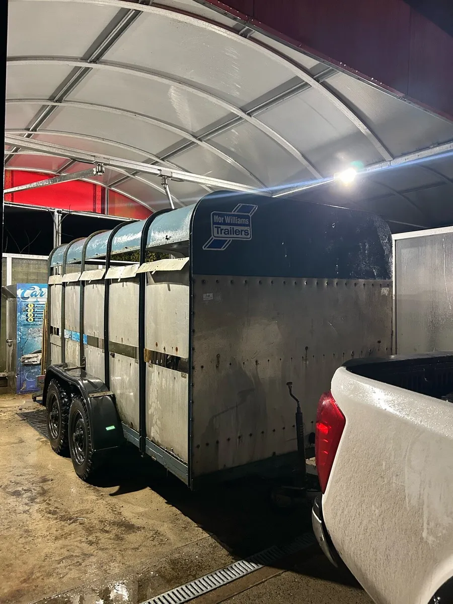 Ifor Williams cattle trailer - Image 2