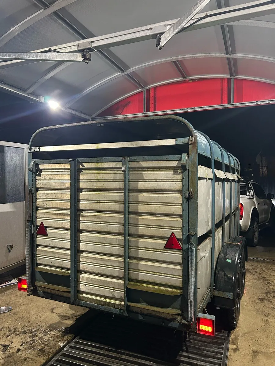 Ifor Williams cattle trailer - Image 4