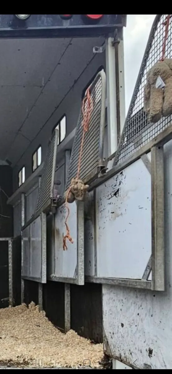 Partitions for horse truck - Image 3