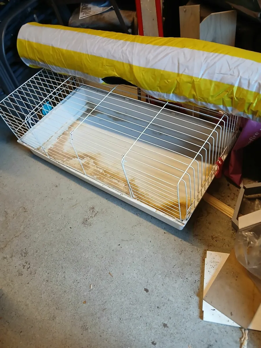 Pet Rabbit accessories - Image 1