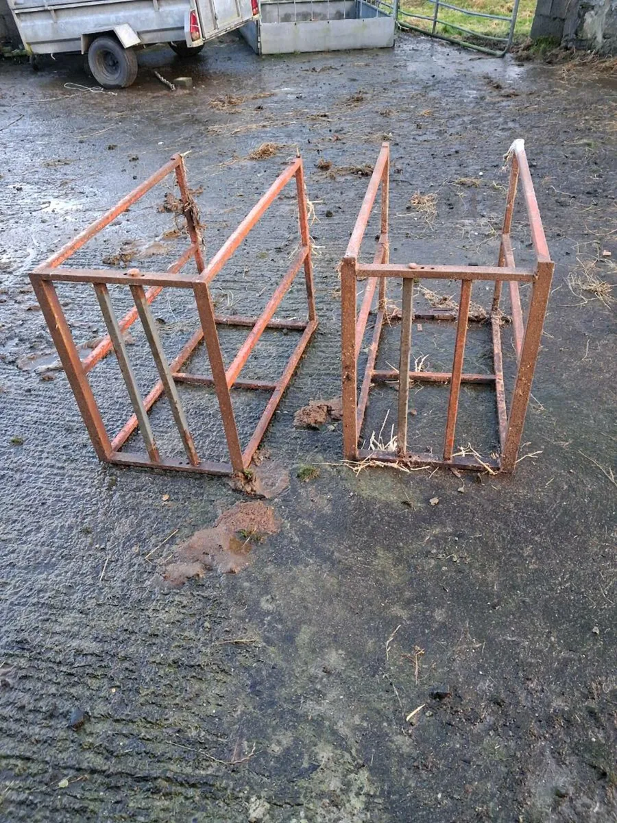 Sheep feeding equipment - Image 2