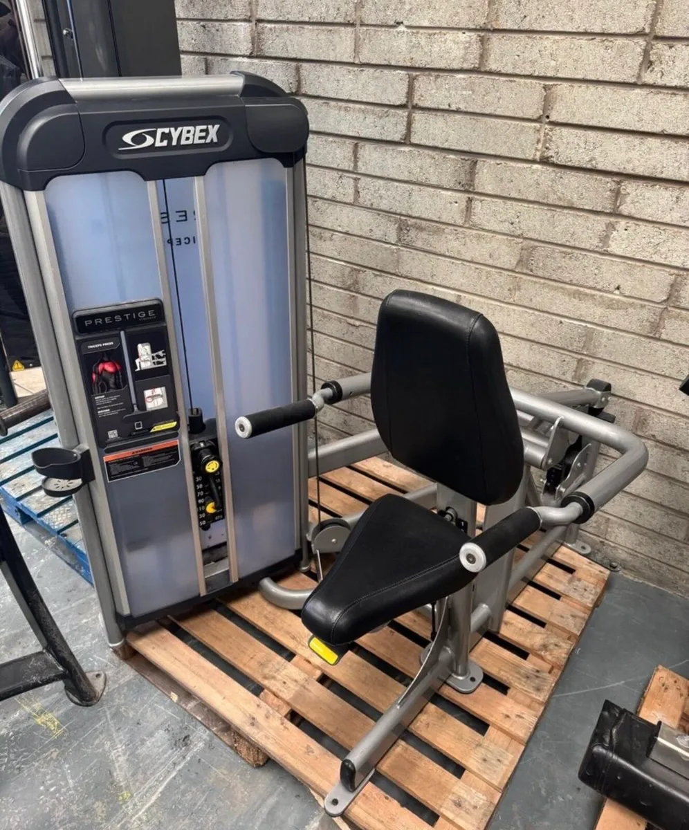 Cybex/ nautilus package deal - Image 2