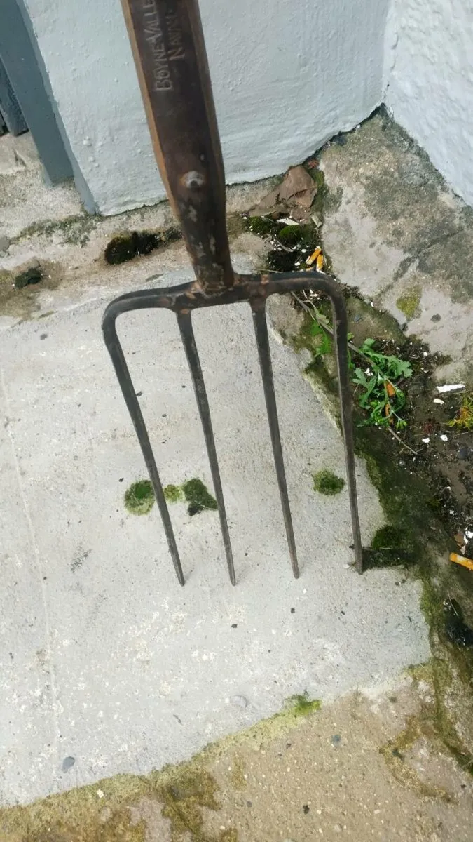Rare antique Boyne Valley Pike - Image 3