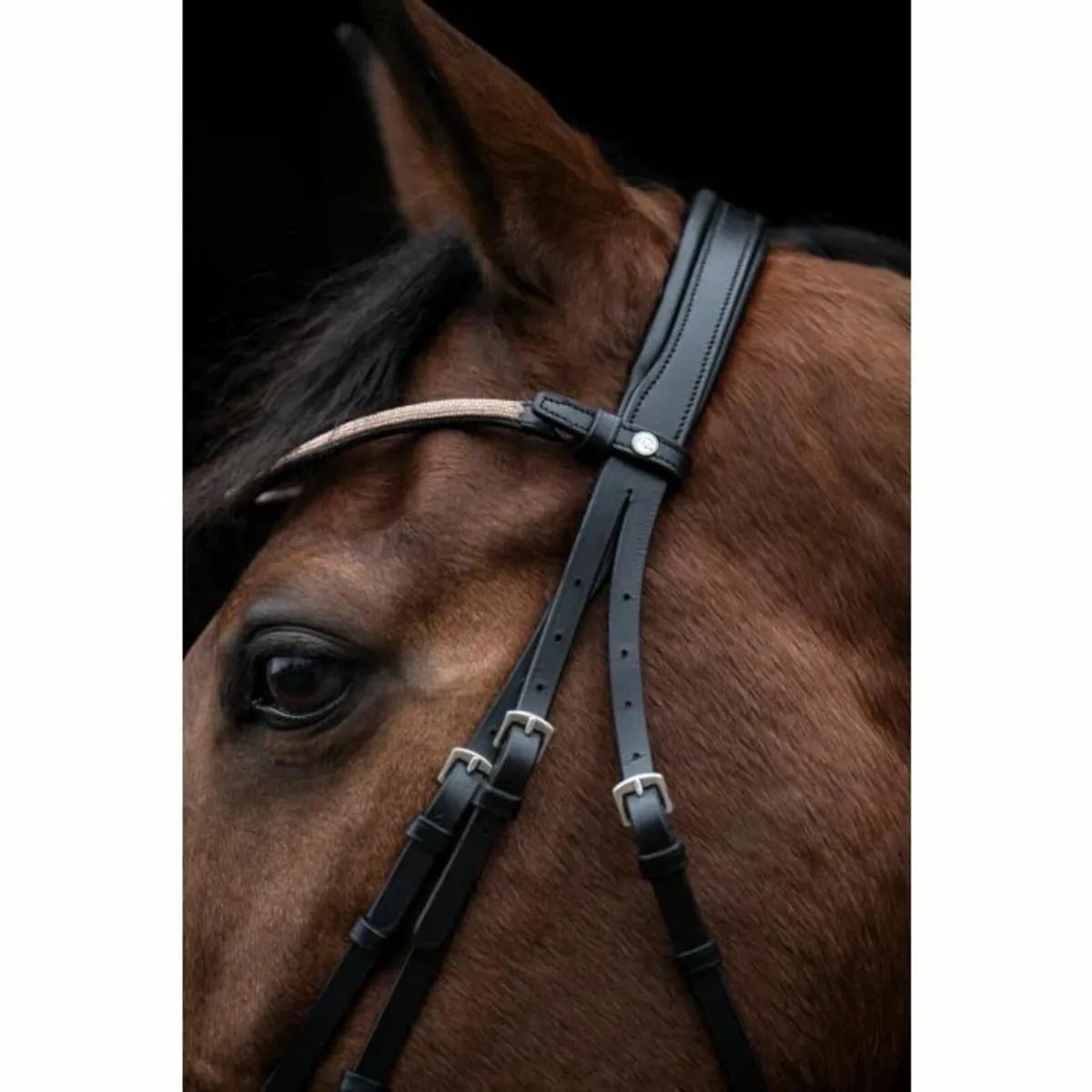 Pony Dressage Bridle - Image 3