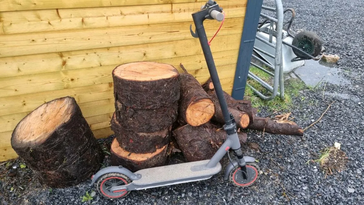 Electric scooter - Image 1