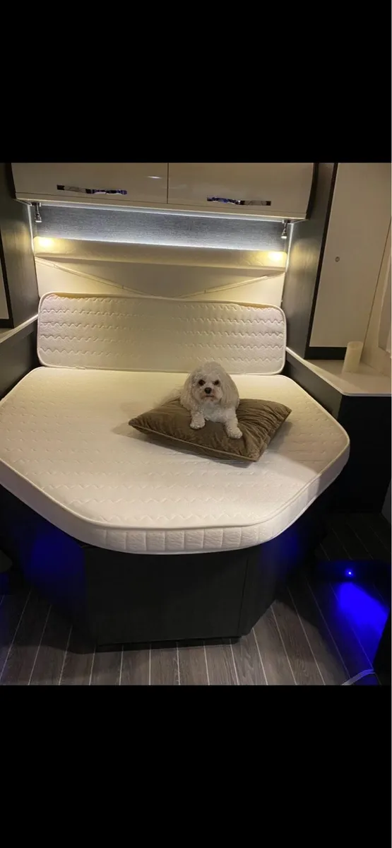 Roller Team  212  ford fixed bed 20,000km - Image 4