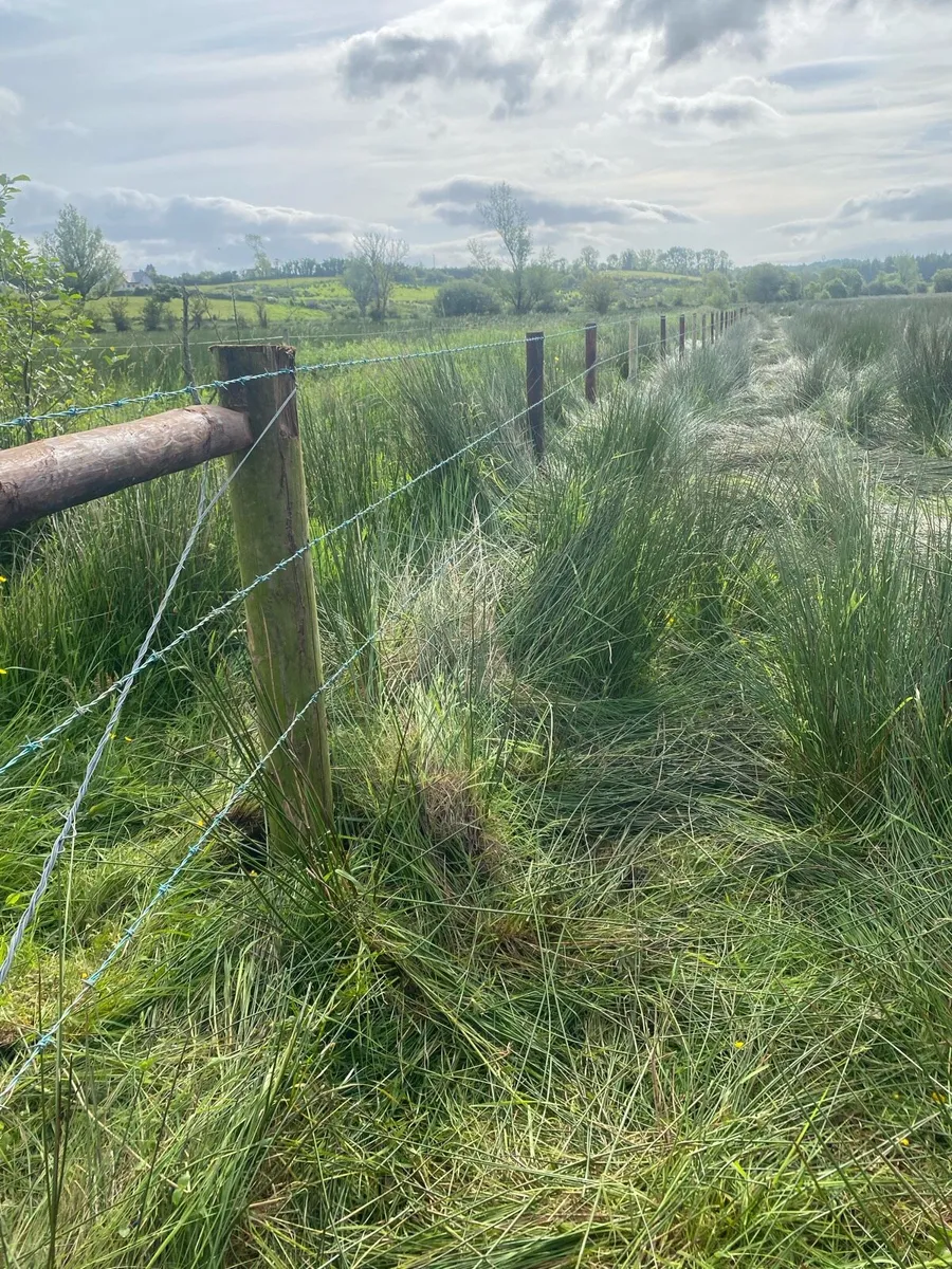 Fencing contractor - Image 3