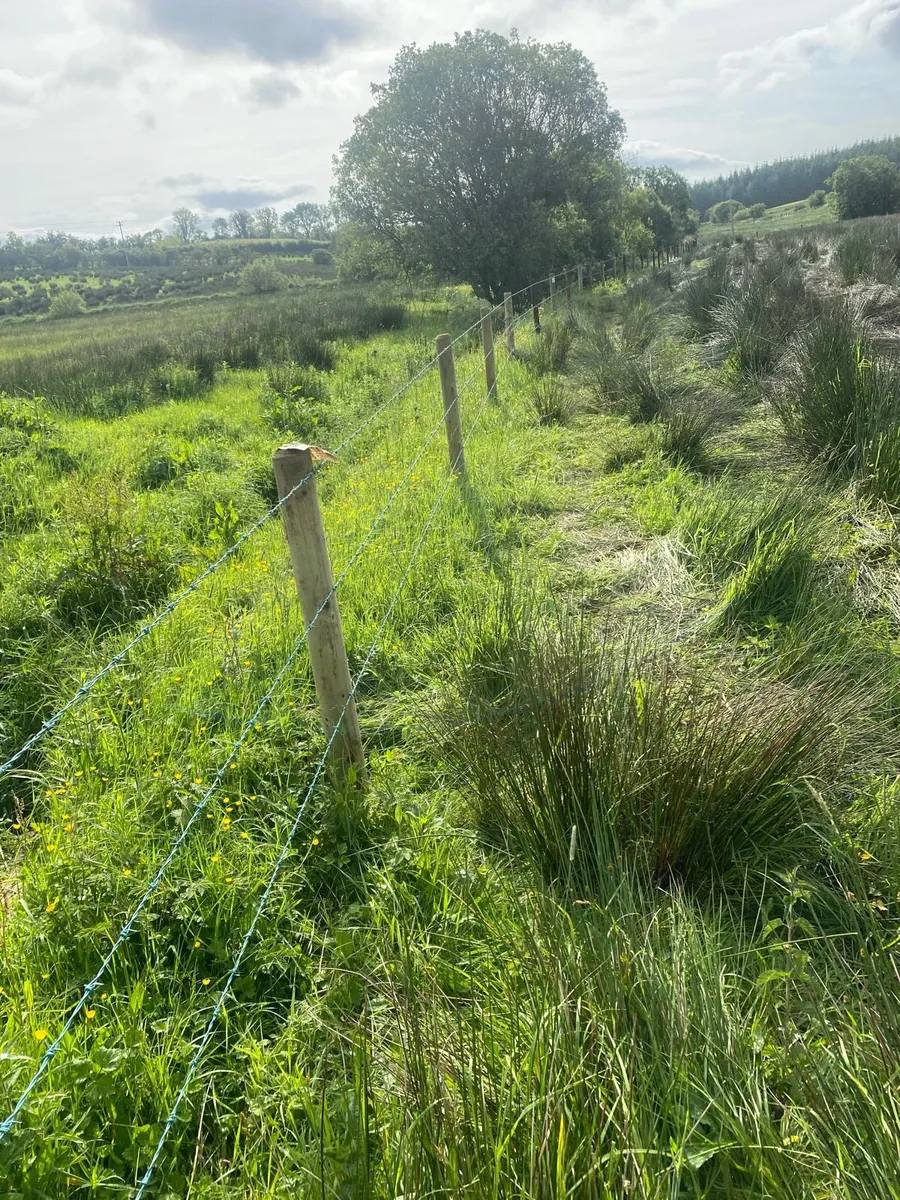 Fencing contractor - Image 4