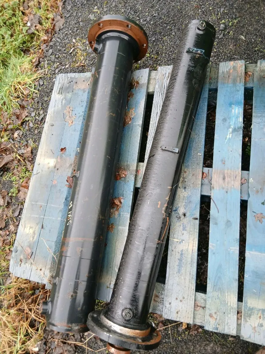 Rams - For Parts or Repair - Image 1