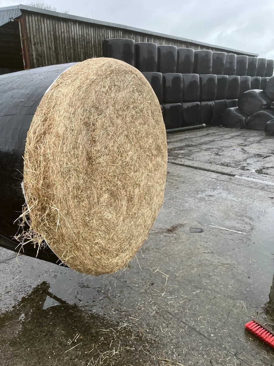 Haylage