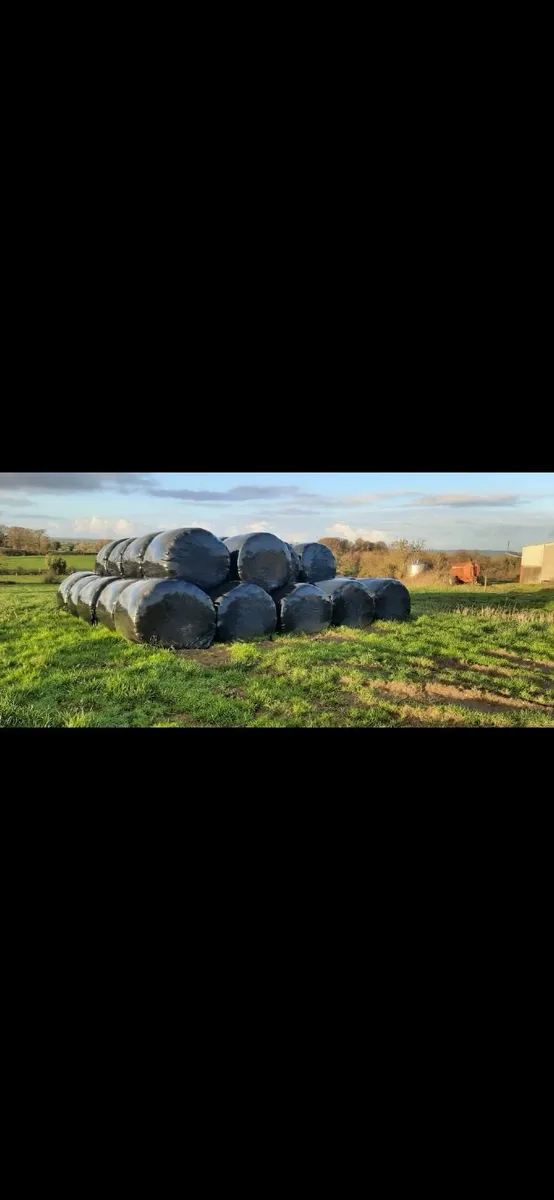 Silage - Image 2