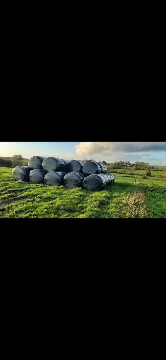 Silage - Image 1