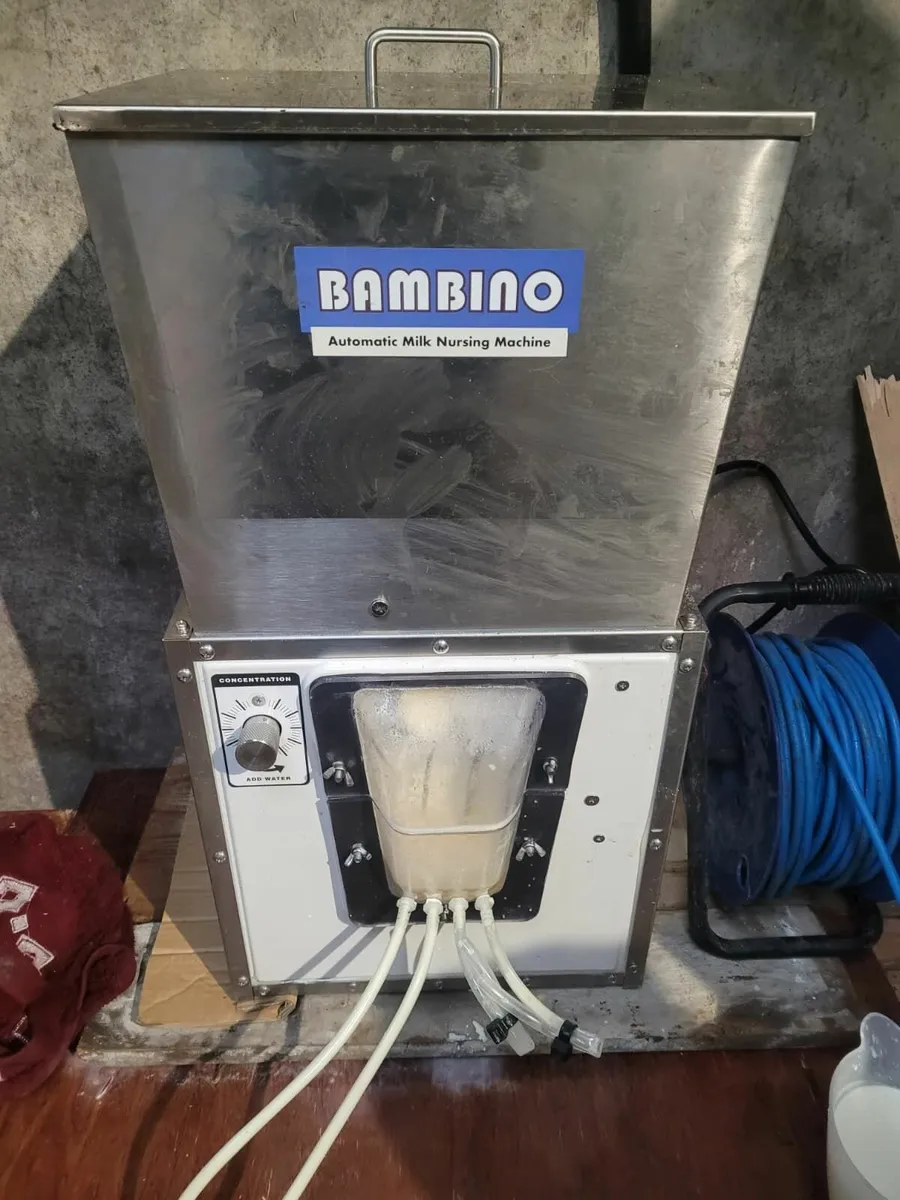 LacTek Automatic Lamb Feeder 40/60 lambs - Image 3