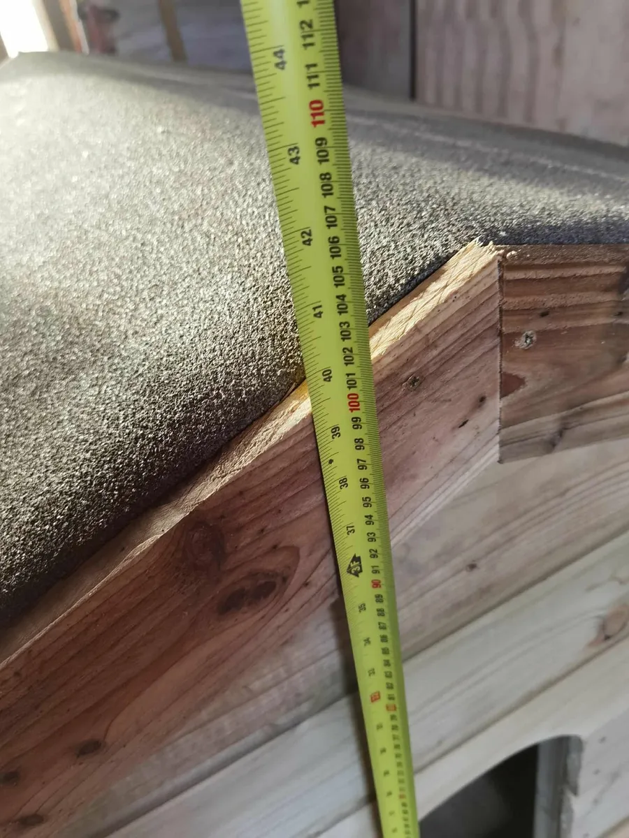 For sale large size - Image 2