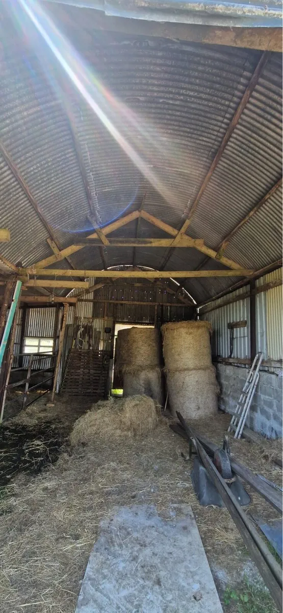 Farm shed repairs - Image 4