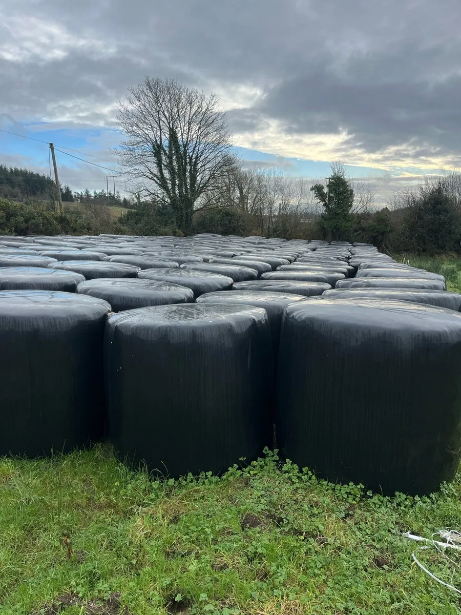 Round bales silage - Image 1