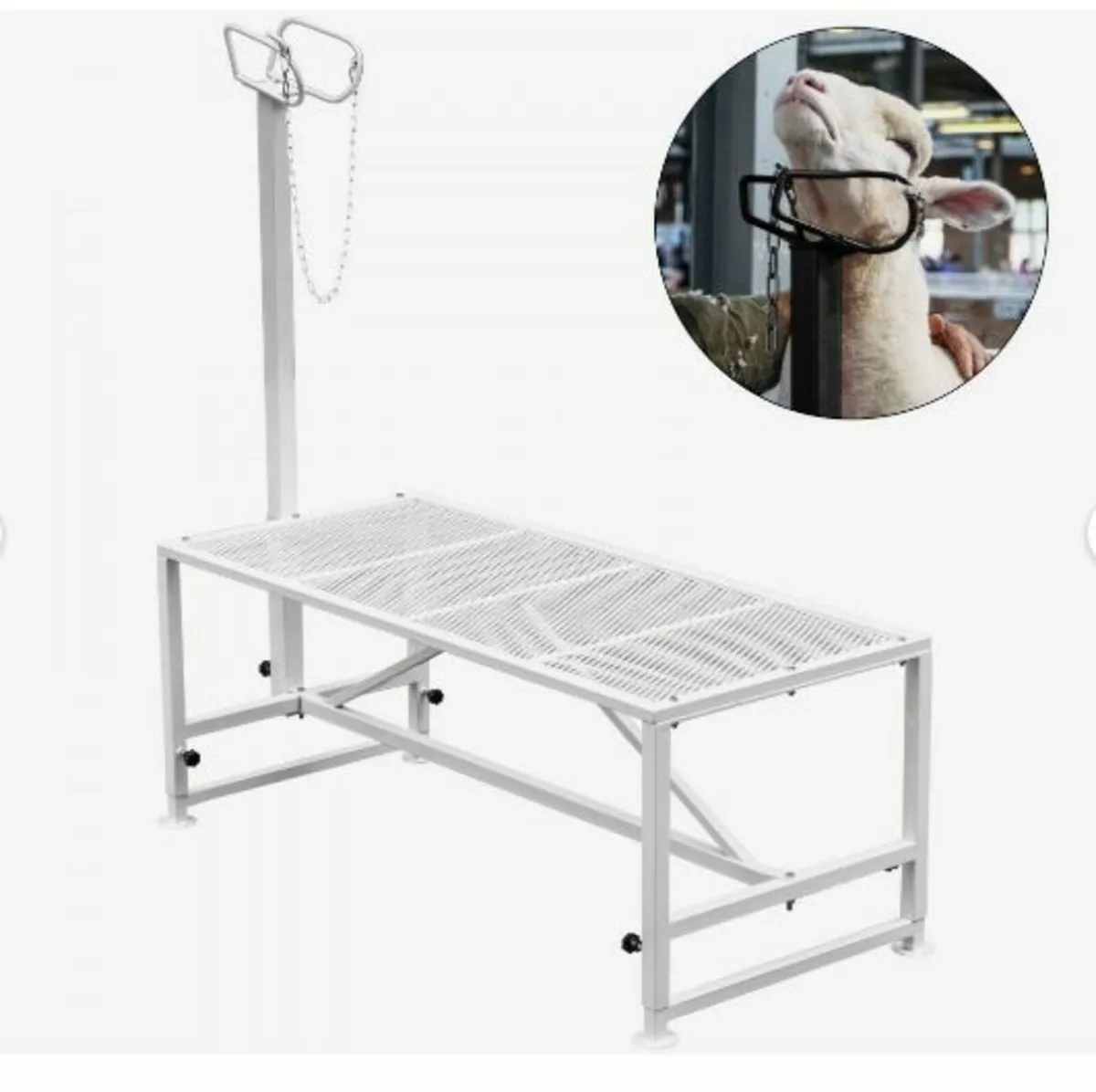 Livestock Stand 51x23 inches, Trimming Stand - Image 1