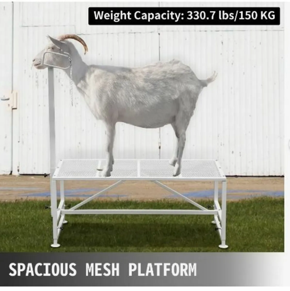 Livestock Stand 51x23 inches, Trimming Stand - Image 2