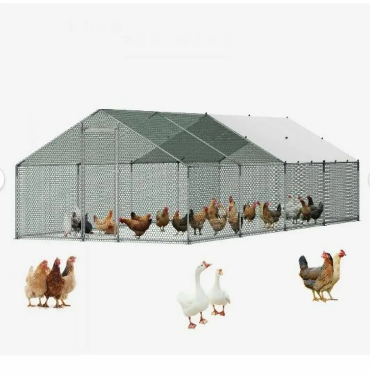 Metal Chicken Coop, 9.8x26.2x6.5 ft Large - Image 3