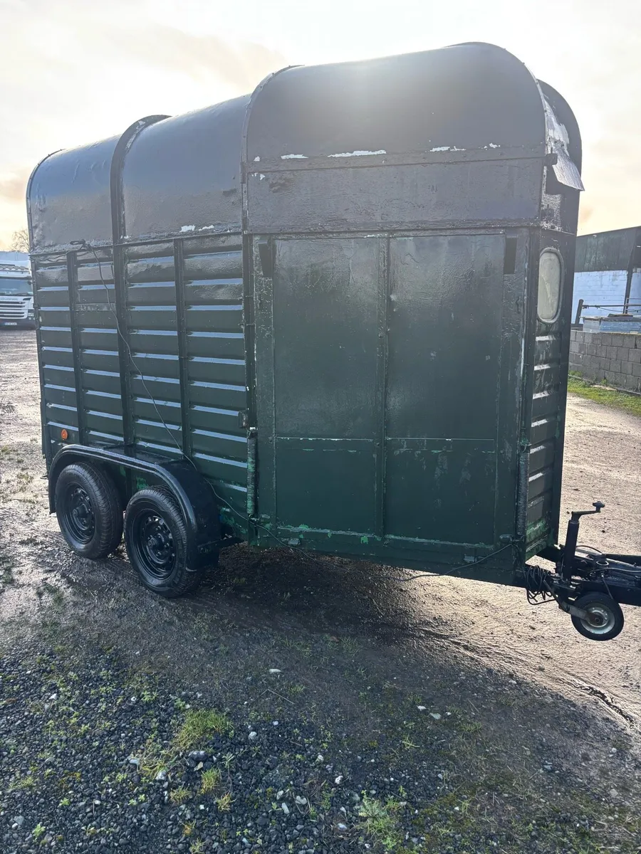 Horse box - Image 4